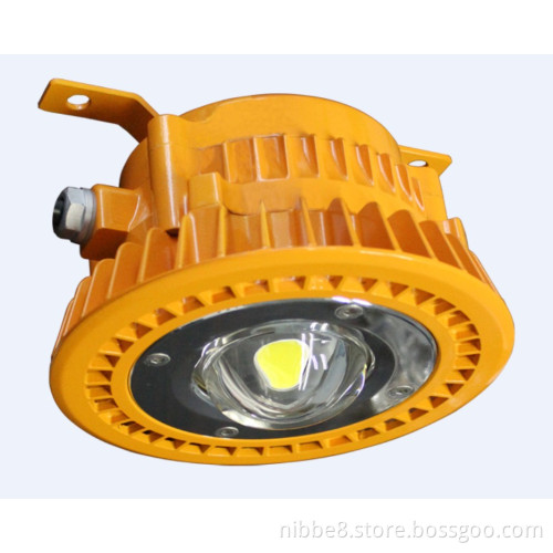LED Explosion Proof Downlight